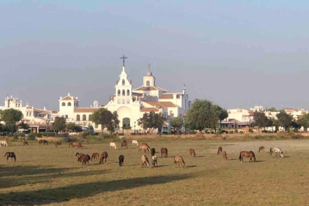 Casa Luz Del Rocio Refugio Con Alma A 8 Minutos De La Ermita Daire Dış mekan fotoğraf